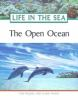 The_open_ocean