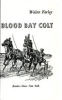 The_black_stallion_s_blood_bay_colt