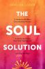 The_soul_solution