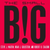 The_Small_Big